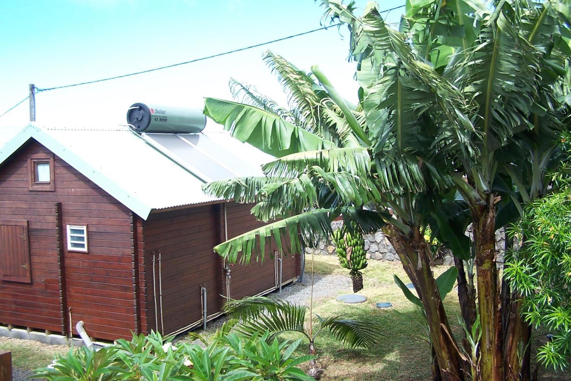 Les Bungalows Les Vanilliers, Sud Sauvage Avec Piscine Saint-Joseph Camera foto