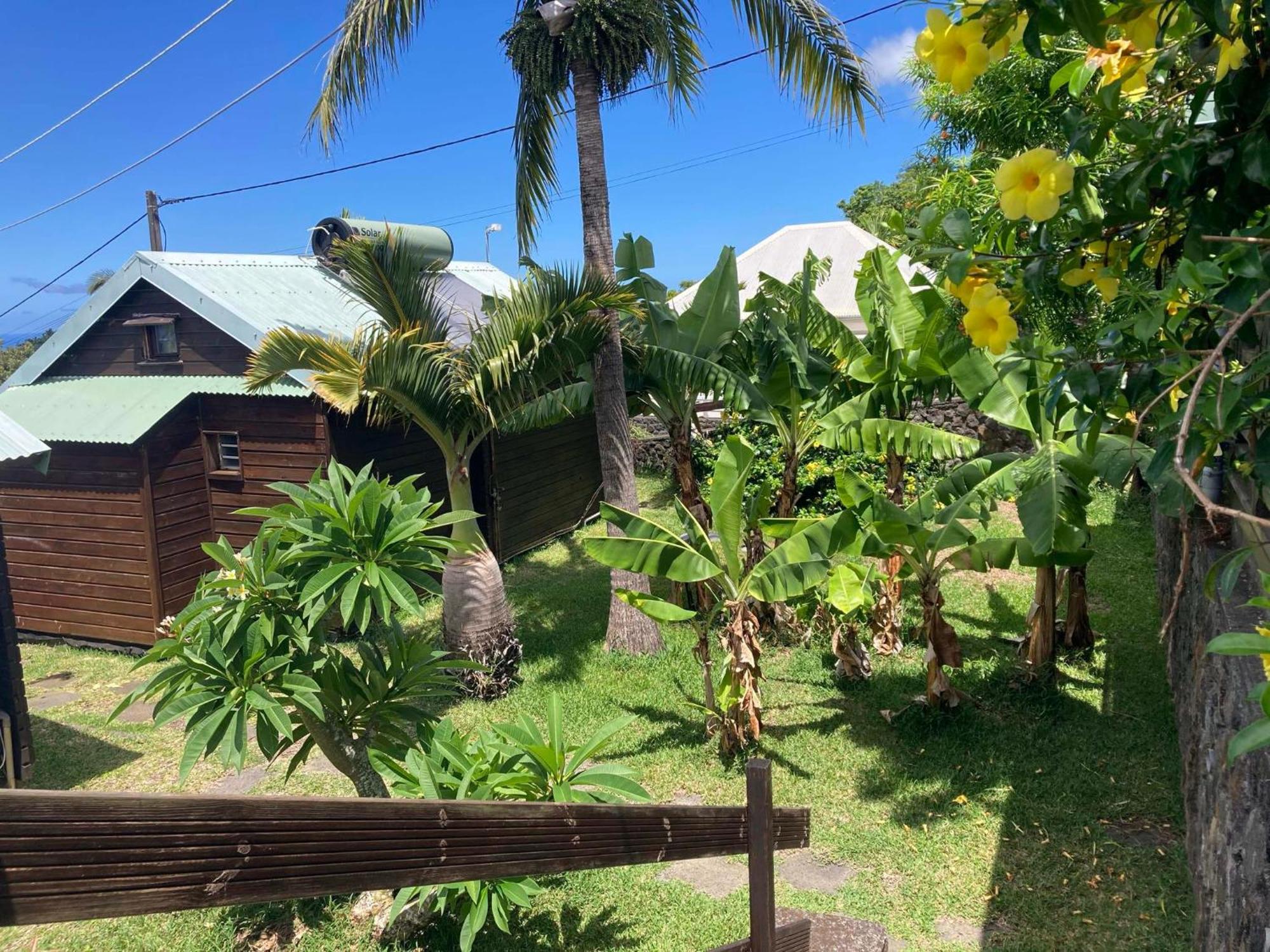 Les Bungalows Les Vanilliers, Sud Sauvage Avec Piscine Saint-Joseph Esterno foto