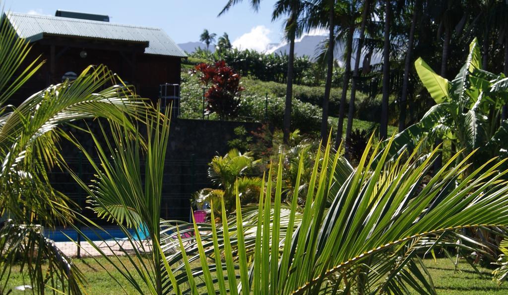 Les Bungalows Les Vanilliers, Sud Sauvage Avec Piscine Saint-Joseph Esterno foto